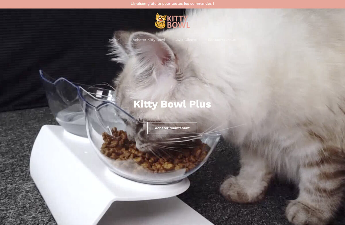 Boutique Gamelle Chat